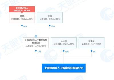 郑爽前男友关联公司再被列为失信被执行人，人工智能公共服务平台技术咨询服务成关注焦点